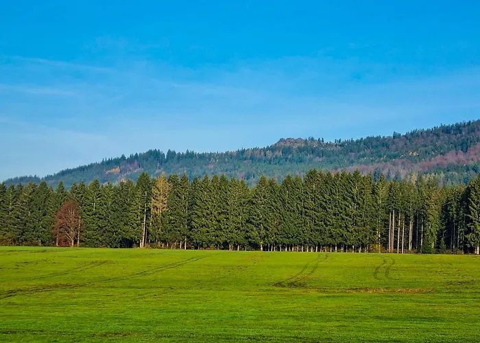 Maria * Langdorf (Regen)