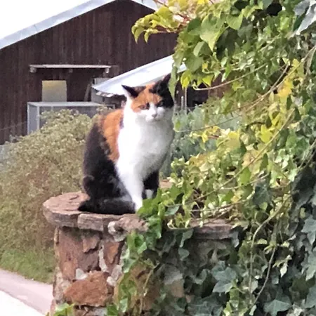 Appartamento Maria *