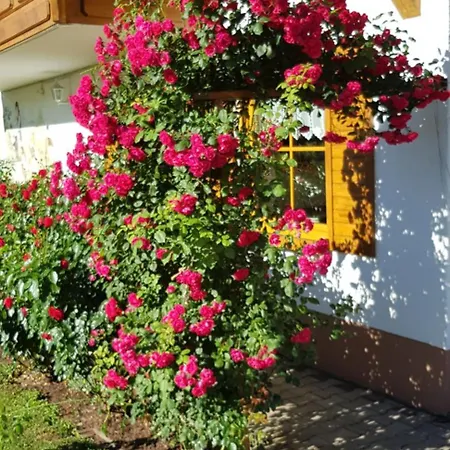 Appartamento Maria *