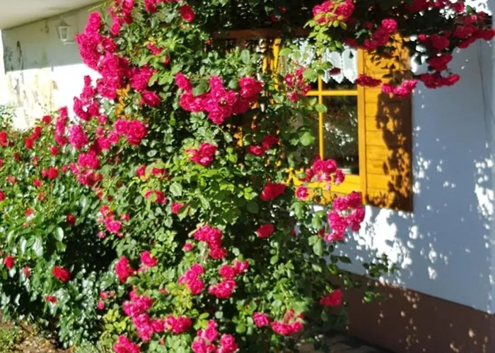 Appartement Maria *
